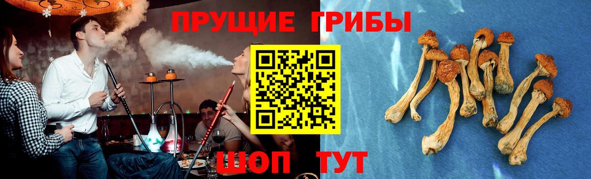 Галлюциногенные грибы Psilocybine cubensis  Вход с VPN  Кизилюрт 